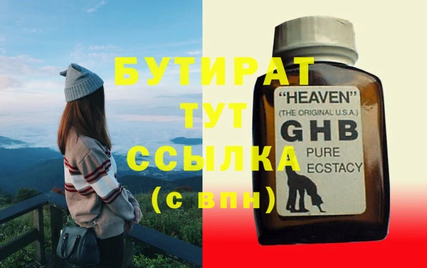 индика Козельск