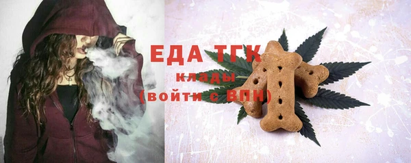 индика Козельск