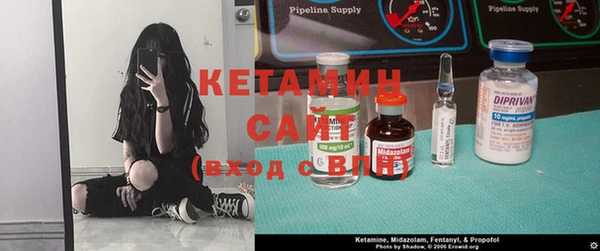 индика Козельск
