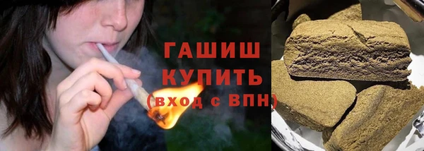 индика Козельск