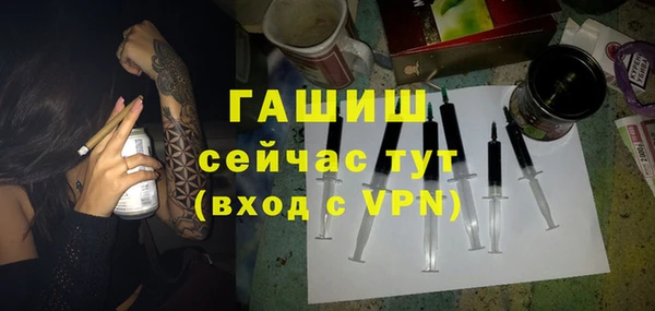 индика Козельск
