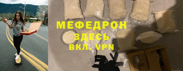 индика Козельск