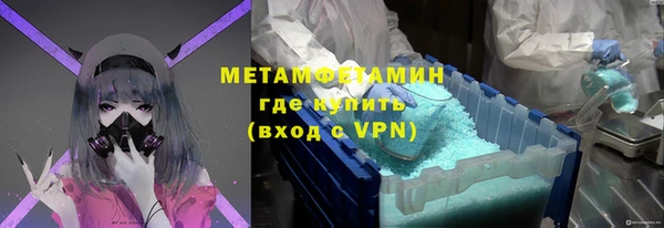 индика Козельск