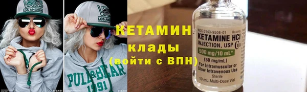 индика Козельск