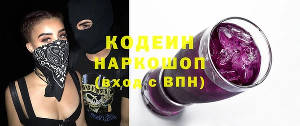индика Козельск