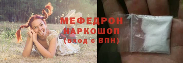 индика Козельск
