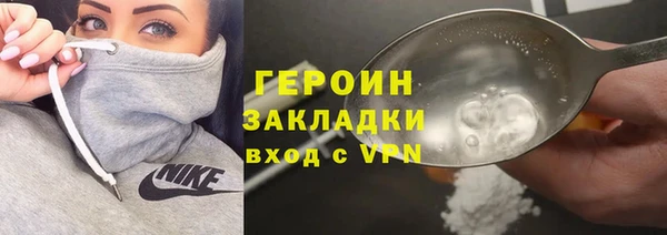 индика Козельск