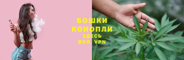 индика Козельск