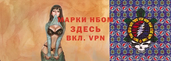 индика Козельск