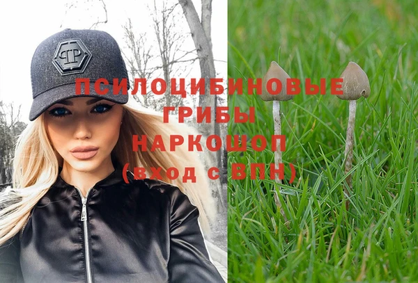 прущая мука Кодинск