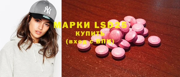 индика Козельск