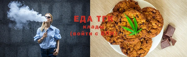 индика Козельск