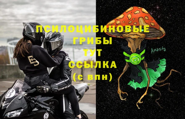 прущая мука Кодинск