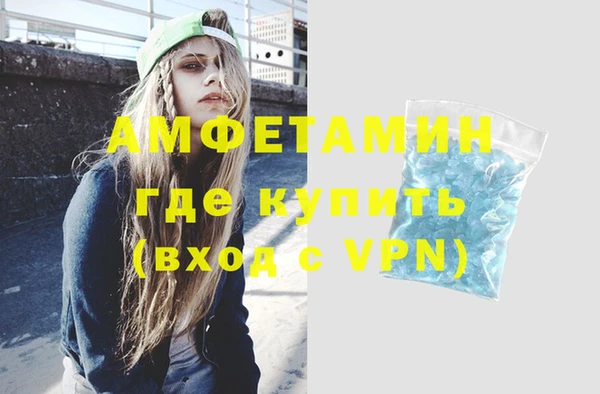 индика Козельск