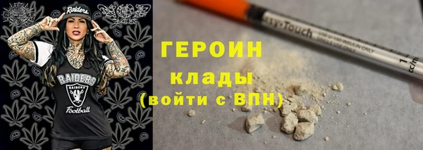 индика Козельск