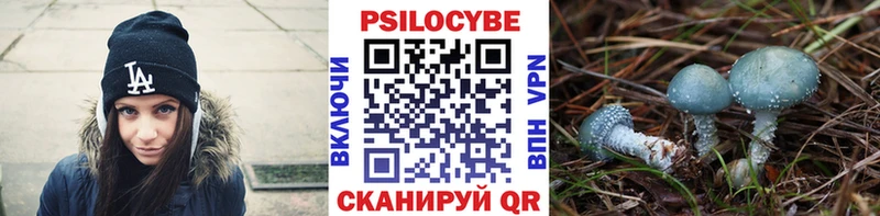 Псилоцибиновые грибы Psilocybine cubensis  Купить  Вязники 
